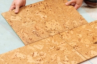  ��������� ���� � ���������� ��������� �����