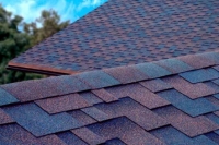  ������������ � ���������� ����� �� ������ ������