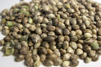  ���������� � �������� �������