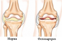  ����������� � ������� ������������