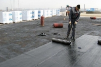  ���� �������������� ������� �� �� ��������: ������ �������