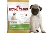  Royal Canin Pug:  
