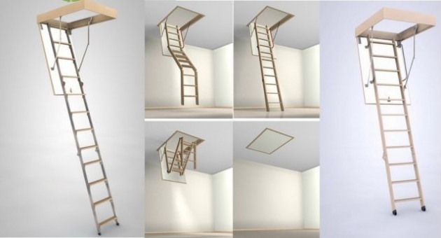  BUKWOOD: ��� ��������� ������� ��������� �������� ��� ������ ����?