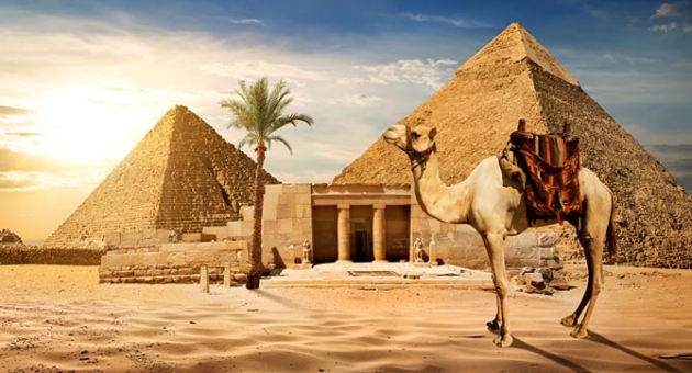  ������� ���� � ������ �� �����