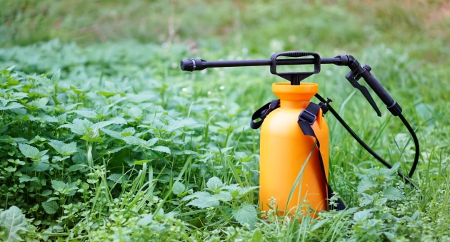  ��� ����� ����� �� ������������?