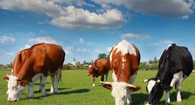  ��������������� �������������� � ��������: ��� ����� �����?