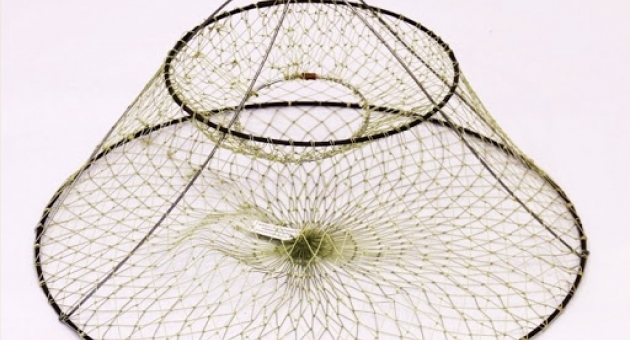  ���������� � ���� ���������