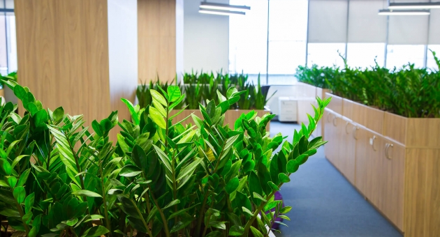  ���������� ����������� ���� �� ���������� � ����: ��������