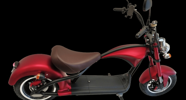   Citycoco Chopper 3000W.     