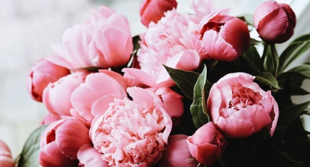  ��� ��������� ��������� ����� ������?