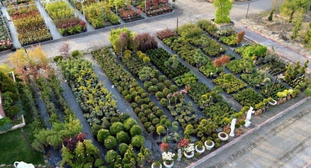  ������� ������ �������� � ������� ���������