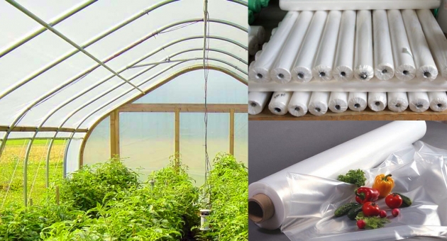  ������ ��� �������: �� ����