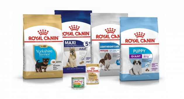       Royal Canin Maxi Adult
