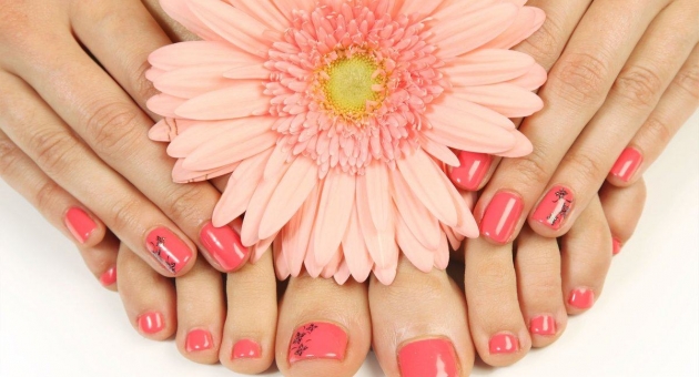  ������������ �������� � ��������