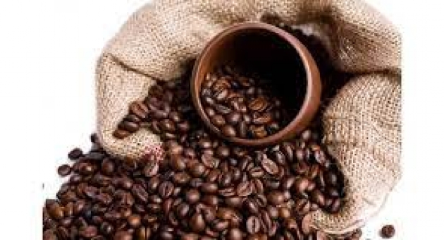  ������ ���� � ������: ������� ��������