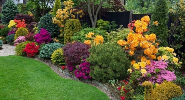  �������� ������������ �����: �������� ���� �� ������ ���������� � �����