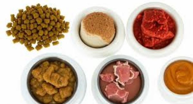  ���-10 ������������,������� ������ ���� � ������������ ����� ��� �����