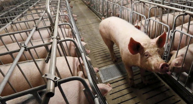  ������ ��� ������� � ������� ������ ��� ������� ������� � �������� �������