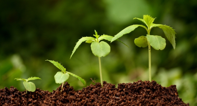  �������� ������������� ����� ������