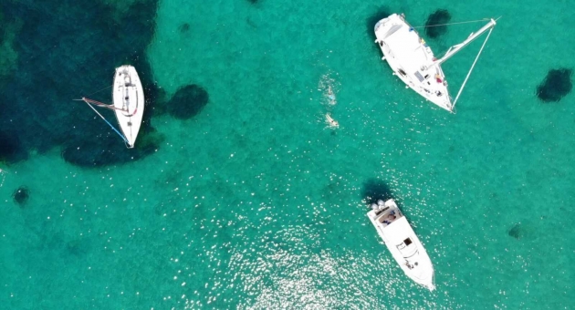  ���� ����� ���������� ���� ������ ������?