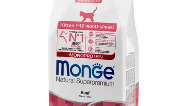  ��������� ���� ��� ������ ��������� - Monge Ukraine