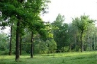   г           151,4 . 