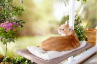  ������ ����� ���������� ����� ��� ������