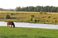  г :  ᒺ -     44,3  .