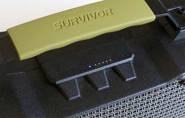 - BT- Survivor c  jump-